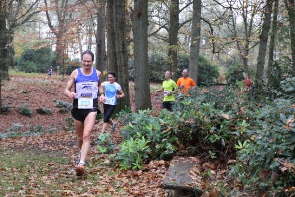 Haarle - Haarlerbergloop 13 november 2016 Haarle - Haarlerbergloop 13 november 2016